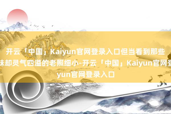 开云「中国」Kaiyun官网登录入口但当看到那些像素暗昧却灵气四溢的老照细小-开云「中国」Kaiyun官网登录入口