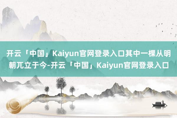 开云「中国」Kaiyun官网登录入口其中一棵从明朝兀立于今-开云「中国」Kaiyun官网登录入口