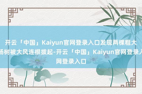 开云「中国」Kaiyun官网登录入口发现两棵粗大的杨树被大风连根拔起-开云「中国」Kaiyun官网登录入口