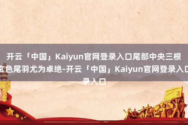开云「中国」Kaiyun官网登录入口尾部中央三根玄色尾羽尤为卓绝-开云「中国」Kaiyun官网登录入口