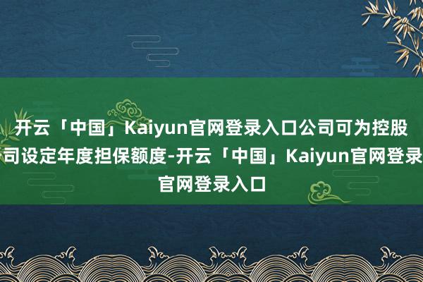 开云「中国」Kaiyun官网登录入口公司可为控股子公司设定年度担保额度-开云「中国」Kaiyun官网登录入口