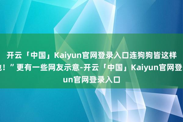 开云「中国」Kaiyun官网登录入口连狗狗皆这样心爱她！”更有一些网友示意-开云「中国」Kaiyun官网登录入口