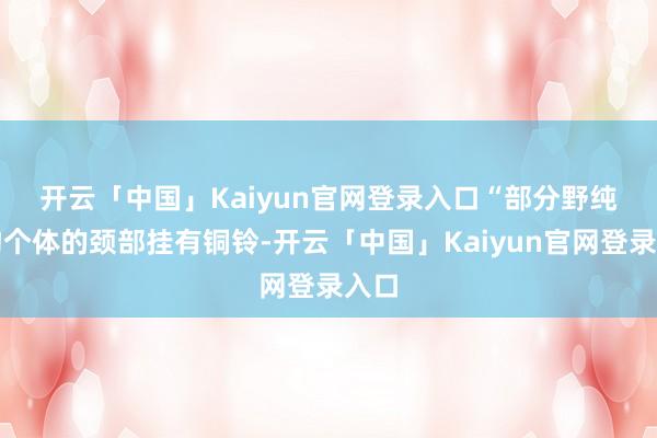 开云「中国」Kaiyun官网登录入口　　“部分野纯真物个体的颈部挂有铜铃-开云「中国」Kaiyun官网登录入口